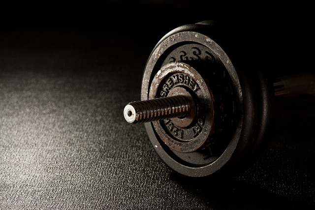 Boost din træning med et vægtløfterbælte – sådan vælger du det rigtige