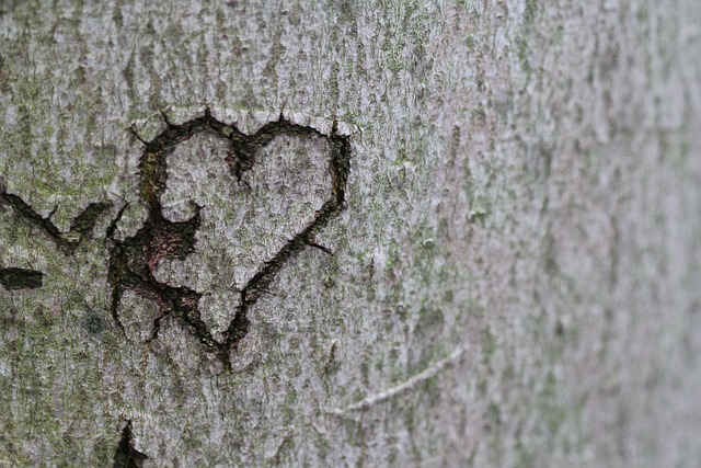 Det romantiske hjertetræ: Perfekt gave til Valentinsdag